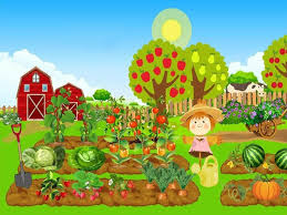 Огород в детском саду