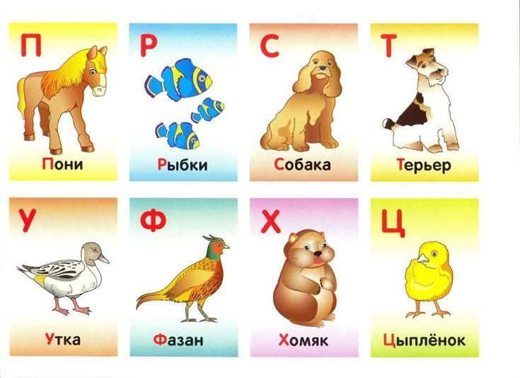 «Әріпті зообақ» әріптерді үйренуге  арналған ойын